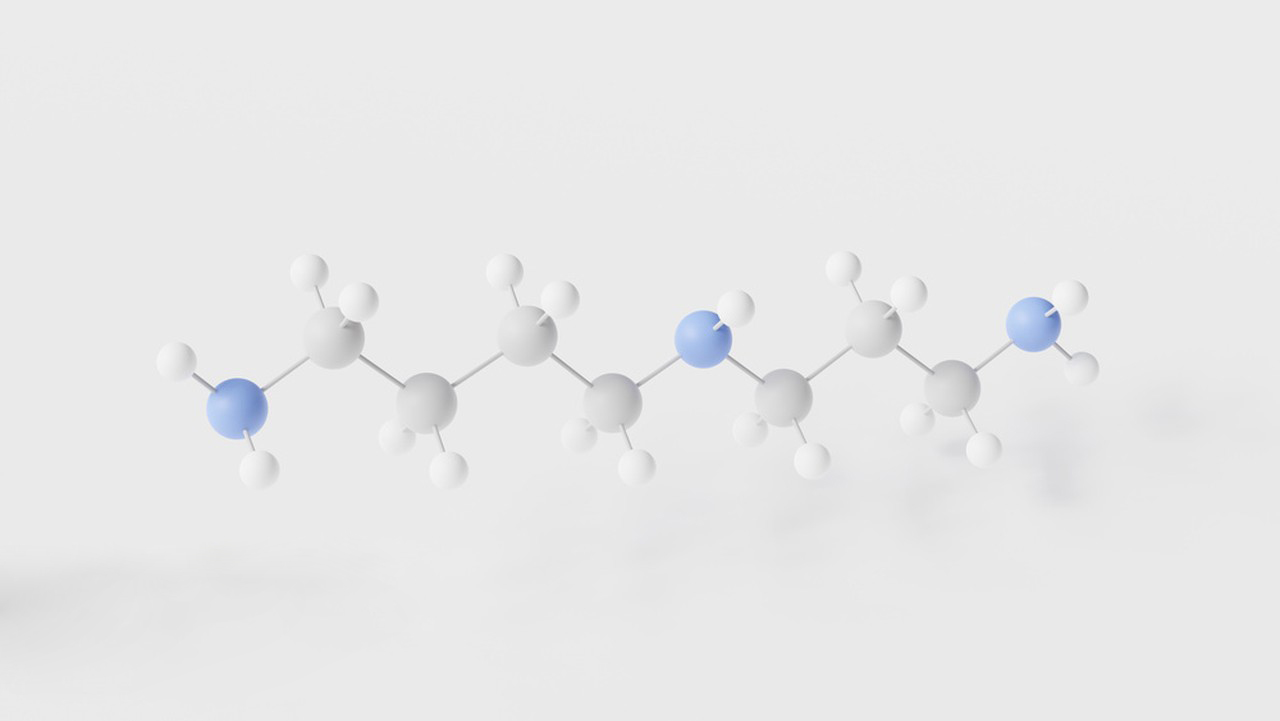 Spermidine