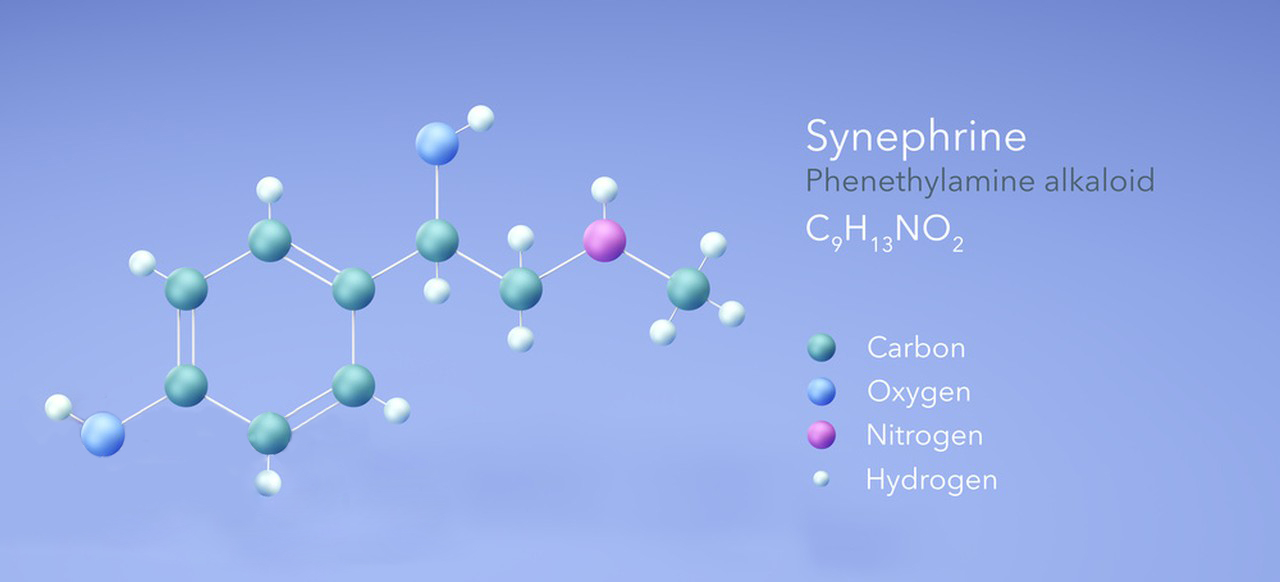 The comprehensive research of Synephrine-Xi'an Lyphar Biotech Co., Ltd