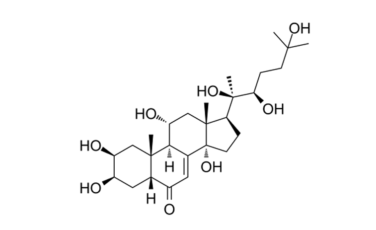 Chemical structure and physical properties of Turkesterone-Xi'an Lyphar Biotech Co., Ltd
