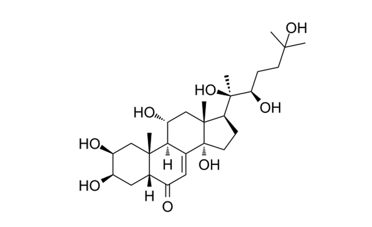 Turkesterone