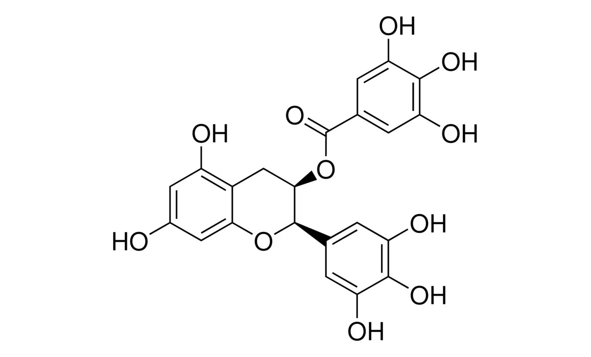 EGCG