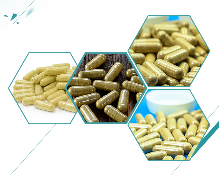 Garcinia Cambogia Extract Capsules