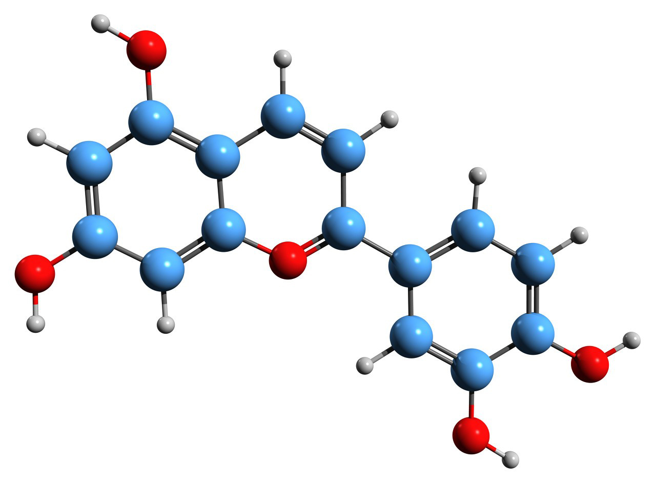 Lutein Capsule