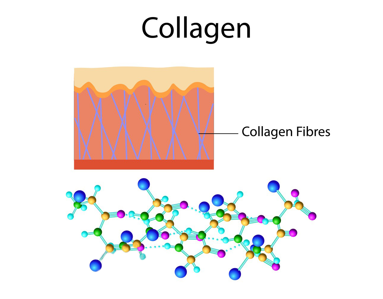 Marine Collagen Capsules