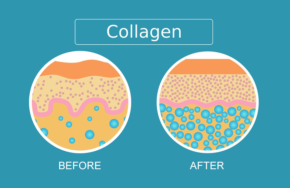 Marine Collagen Capsules