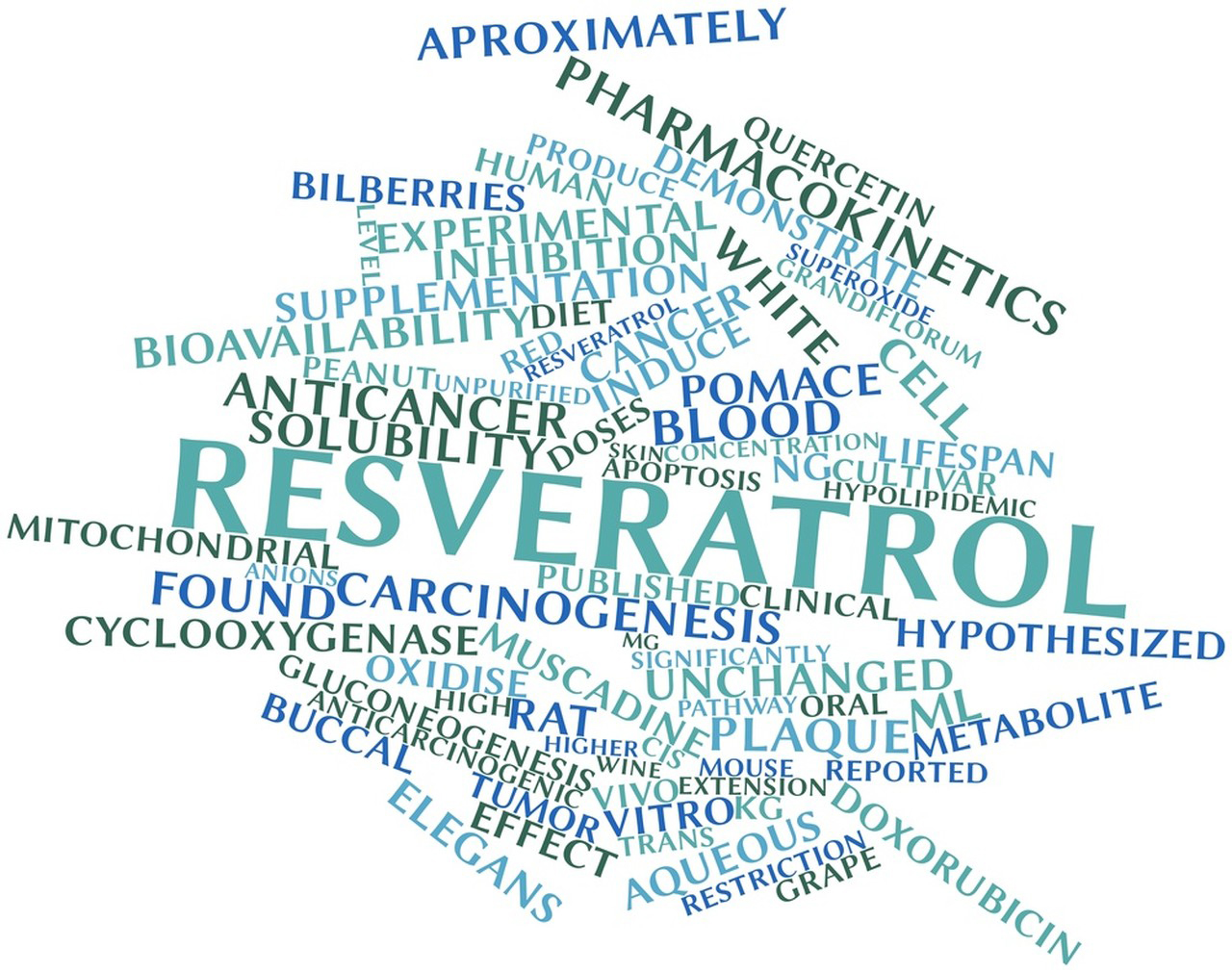 Resveratrol Capsules