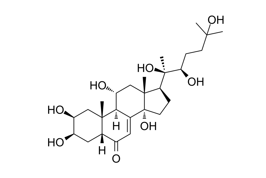 Turkesterone Capsules