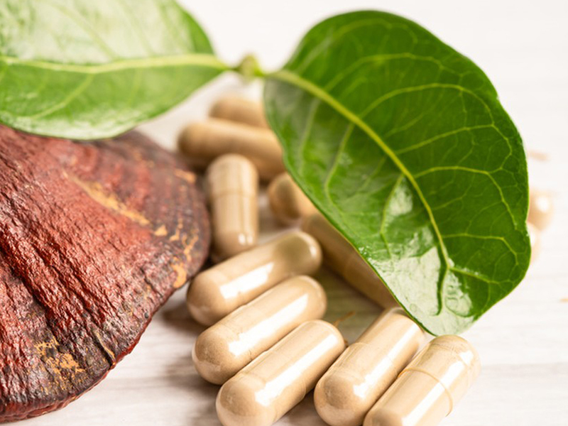 Ganoderma Extract Capsules