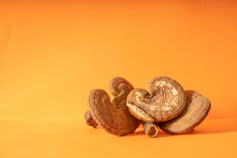 Materials and Methods of Ganoderma Extract Capsules 1 2024041706480696
