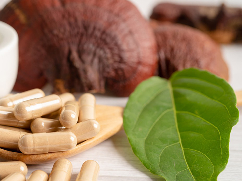 Ganoderma Extract Capsules