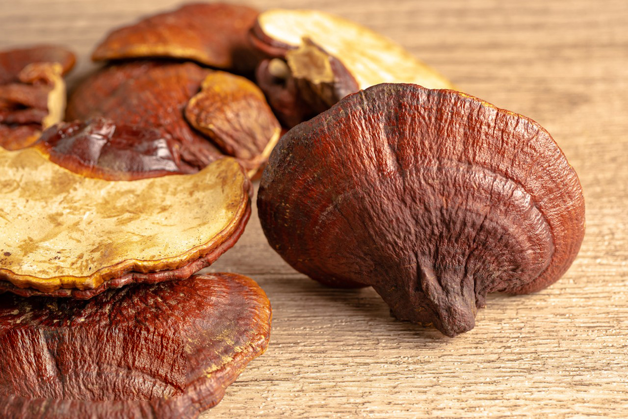 Ganoderma Extract Capsules