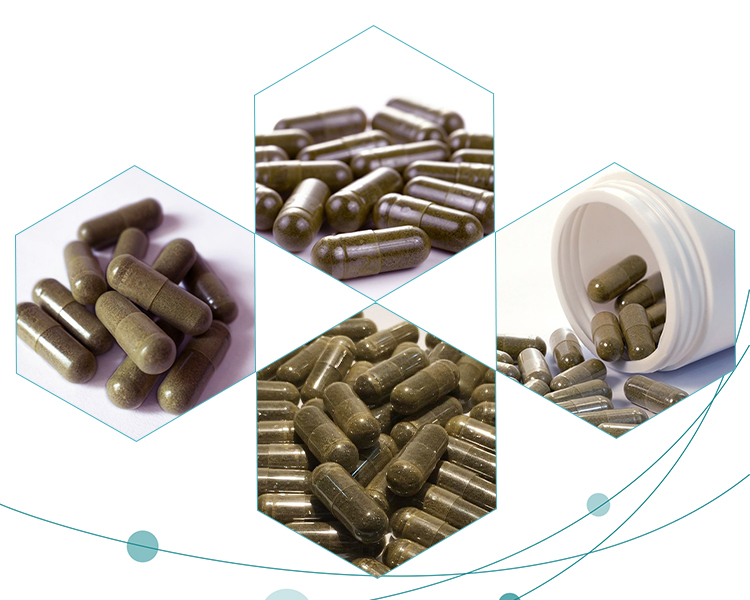 Materials and methods of Cordyceps Capsules - Xi'an Lyphar Biotech Co., Ltd