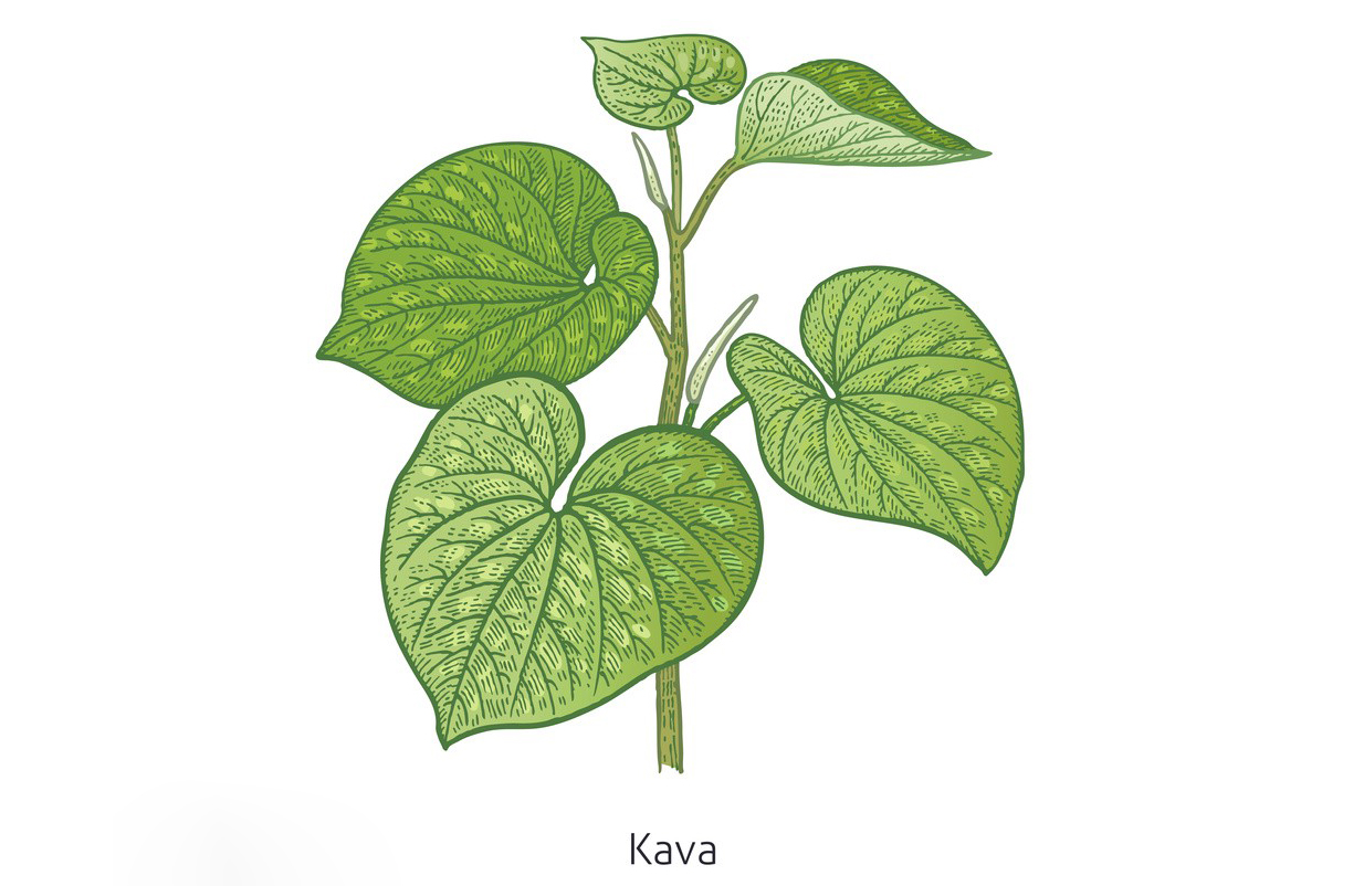 Kava Extract Capsules