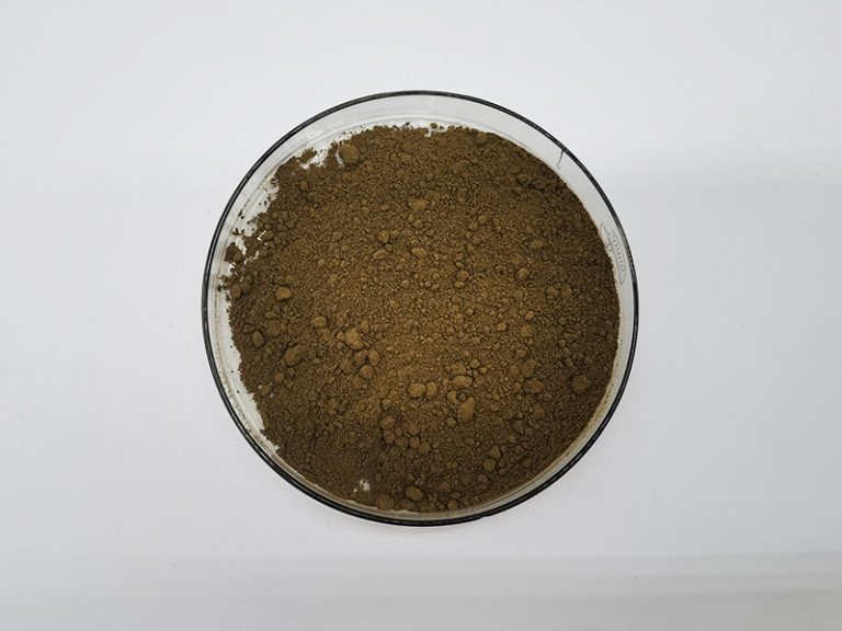 Efficacy and action of Amentoflavone 1 2024080907062648