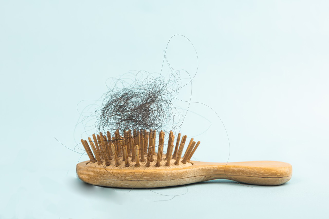 Efficacy and Effects of Saw Palmetto Extract-Xi'an Lyphar Biotech Co., Ltd Efficacy and Effects of Saw Palmetto Extract-Xi'an Lyphar Biotech Co., Ltd