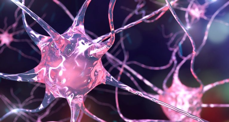 Indications for Citicoline Sodium 1 2024112007562467