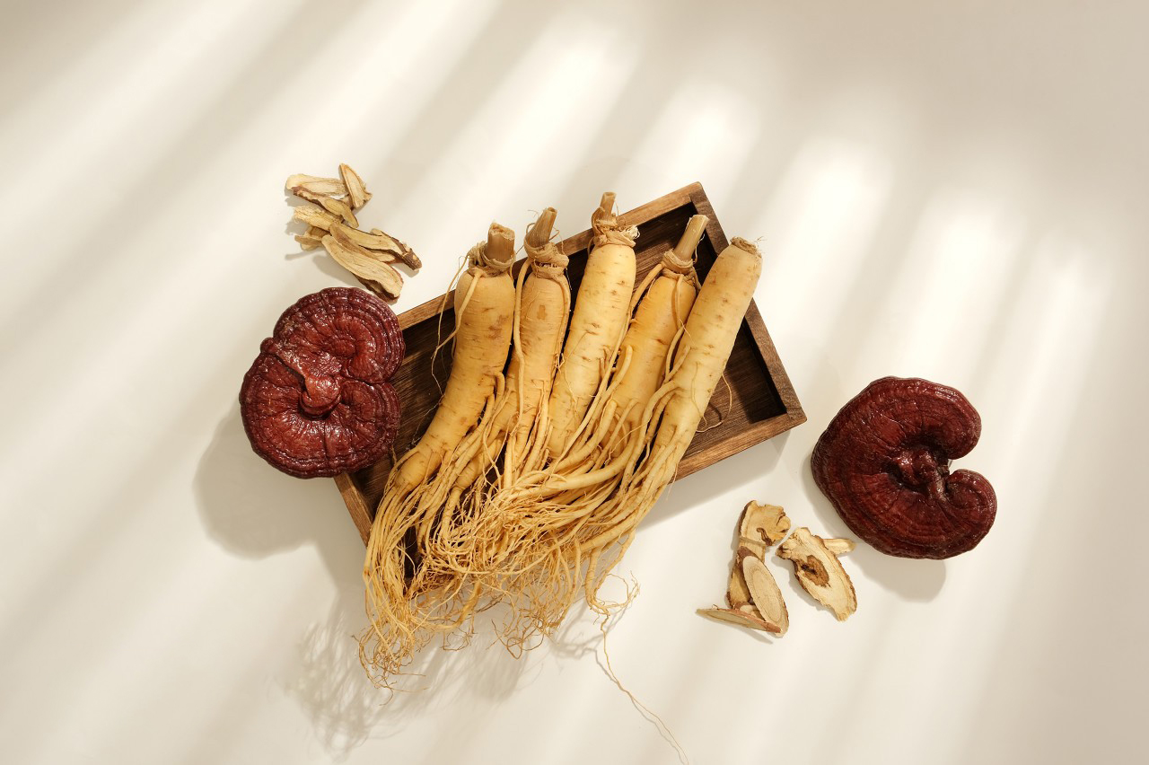 Extraction technology of Ginseng Extract-Xi'an Lyphar Biotech Co., Ltd Extraction technology of Ginseng Extract-Xi'an Lyphar Biotech Co., Ltd