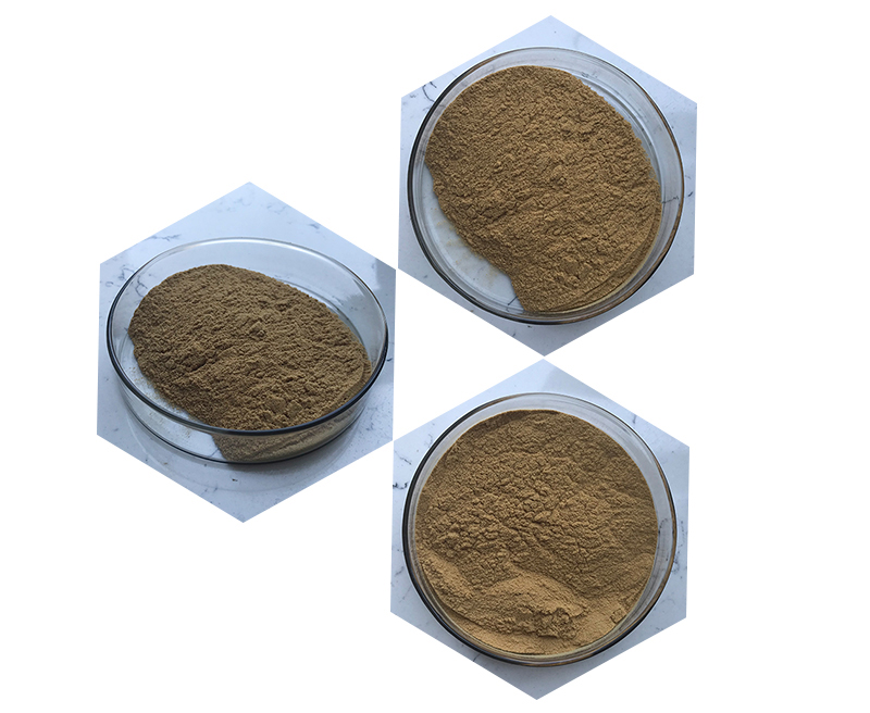 Effectiveness, side effects, and special precautions of Ginseng Extract-Xi'an Lyphar Biotech Co., Ltd Effectiveness, side effects, and special precautions of Ginseng Extract-Xi'an Lyphar Biotech Co., Ltd