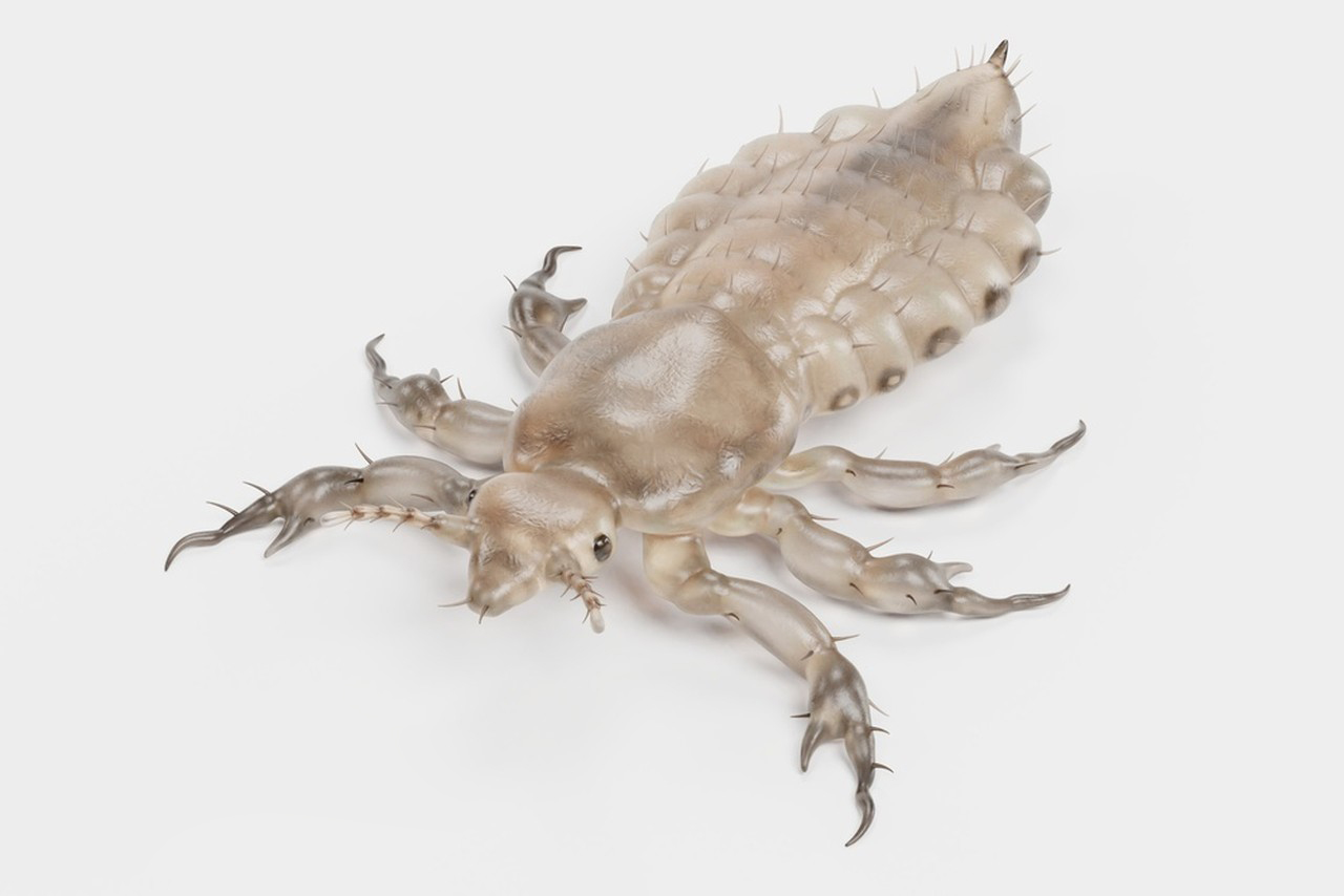Adverse effects of Ivermectin-Xi'an Lyphar Biotech Co., Ltd Adverse effects of Ivermectin-Xi'an Lyphar Biotech Co., Ltd