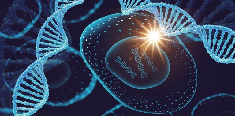 Origin, Properties and Introduction of Kojic Acid Lyphar Supply Good ...