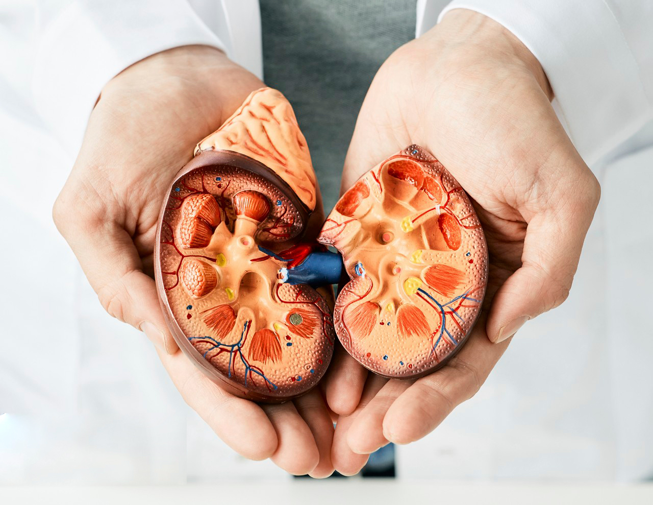Effectiveness, Side Effects, and Special Precautions of L-Arginine-Xi'an Lyphar Biotech Co., Ltd Effectiveness, Side Effects, and Special Precautions of L-Arginine-Xi'an Lyphar Biotech Co., Ltd