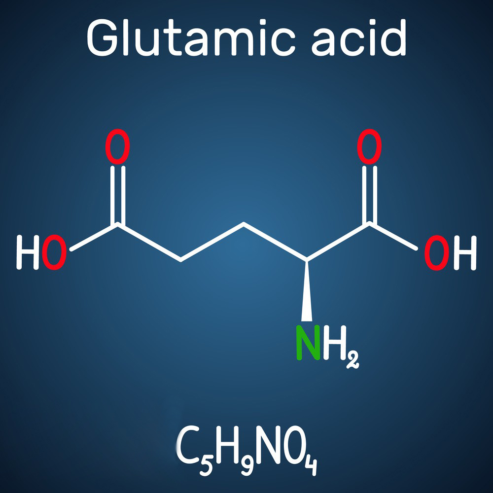 Uses of L-Glutamic Acid-Xi'an Lyphar Biotech Co., Ltd Uses of L-Glutamic Acid-Xi'an Lyphar Biotech Co., Ltd