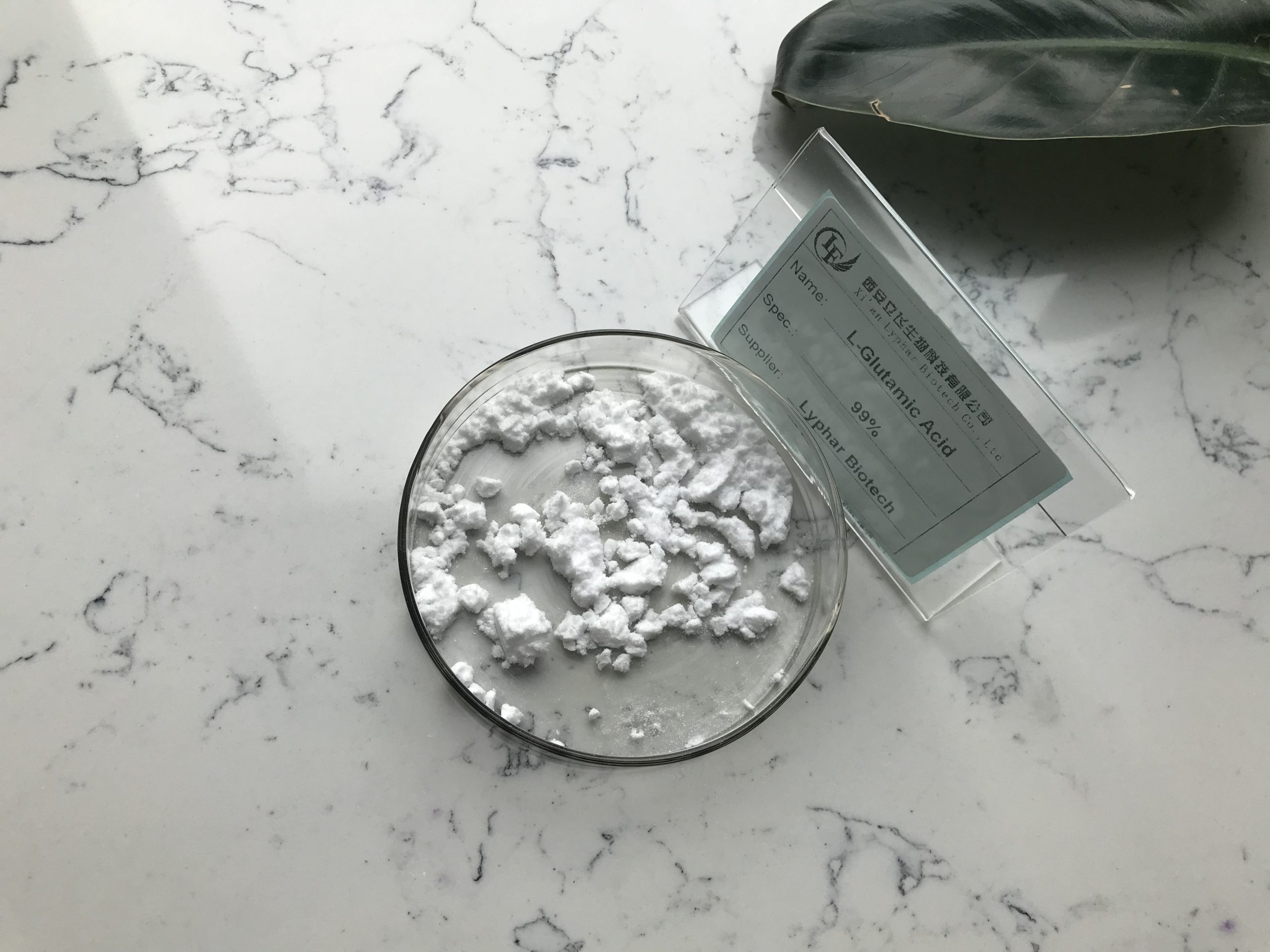 Differences between L-Glutamic Acid and Glutamic Acid-Xi'an Lyphar Biotech Co., Ltd Differences between L-Glutamic Acid and Glutamic Acid-Xi'an Lyphar Biotech Co., Ltd