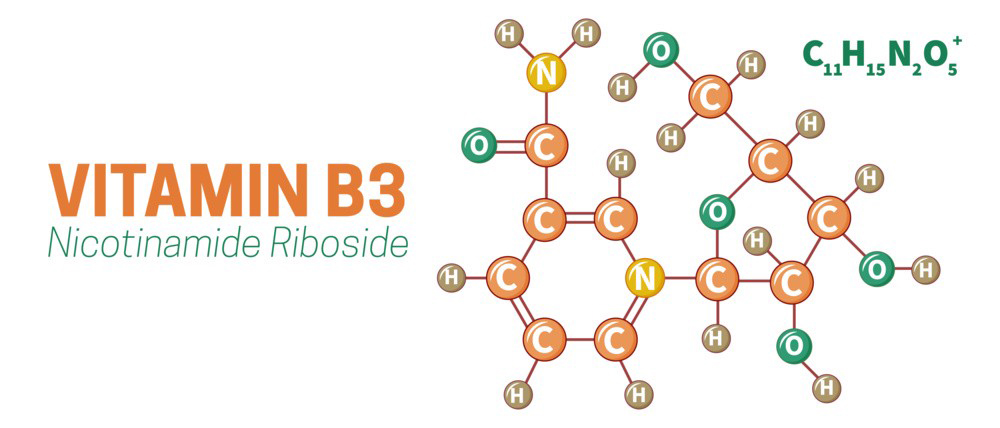 Uses of Nicotinamide Riboside-Xi'an Lyphar Biotech Co., Ltd Uses of Nicotinamide Riboside-Xi'an Lyphar Biotech Co., Ltd