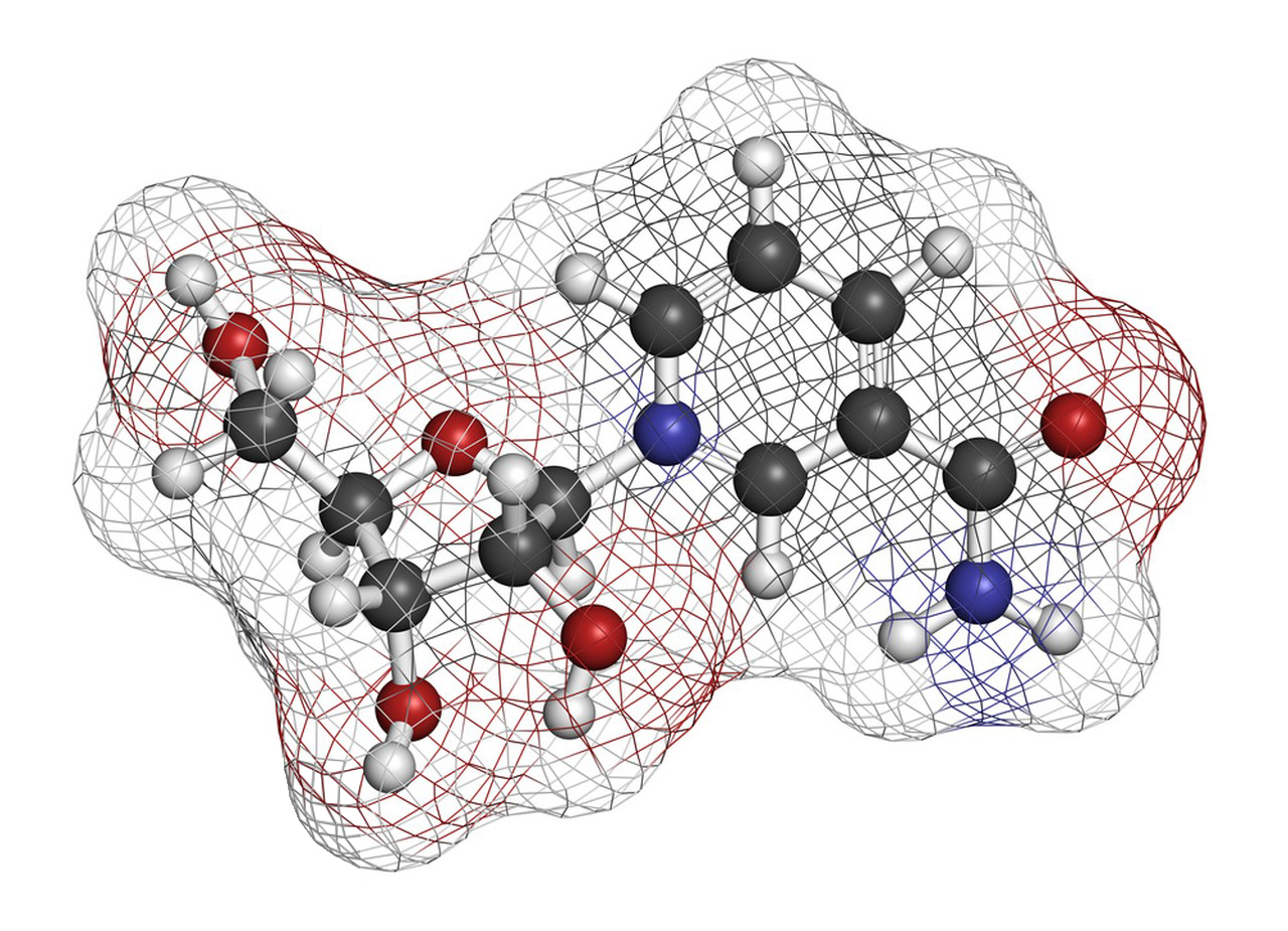 Research directions of Nicotinamide Riboside-Xi'an Lyphar Biotech Co., Ltd Research directions of Nicotinamide Riboside-Xi'an Lyphar Biotech Co., Ltd