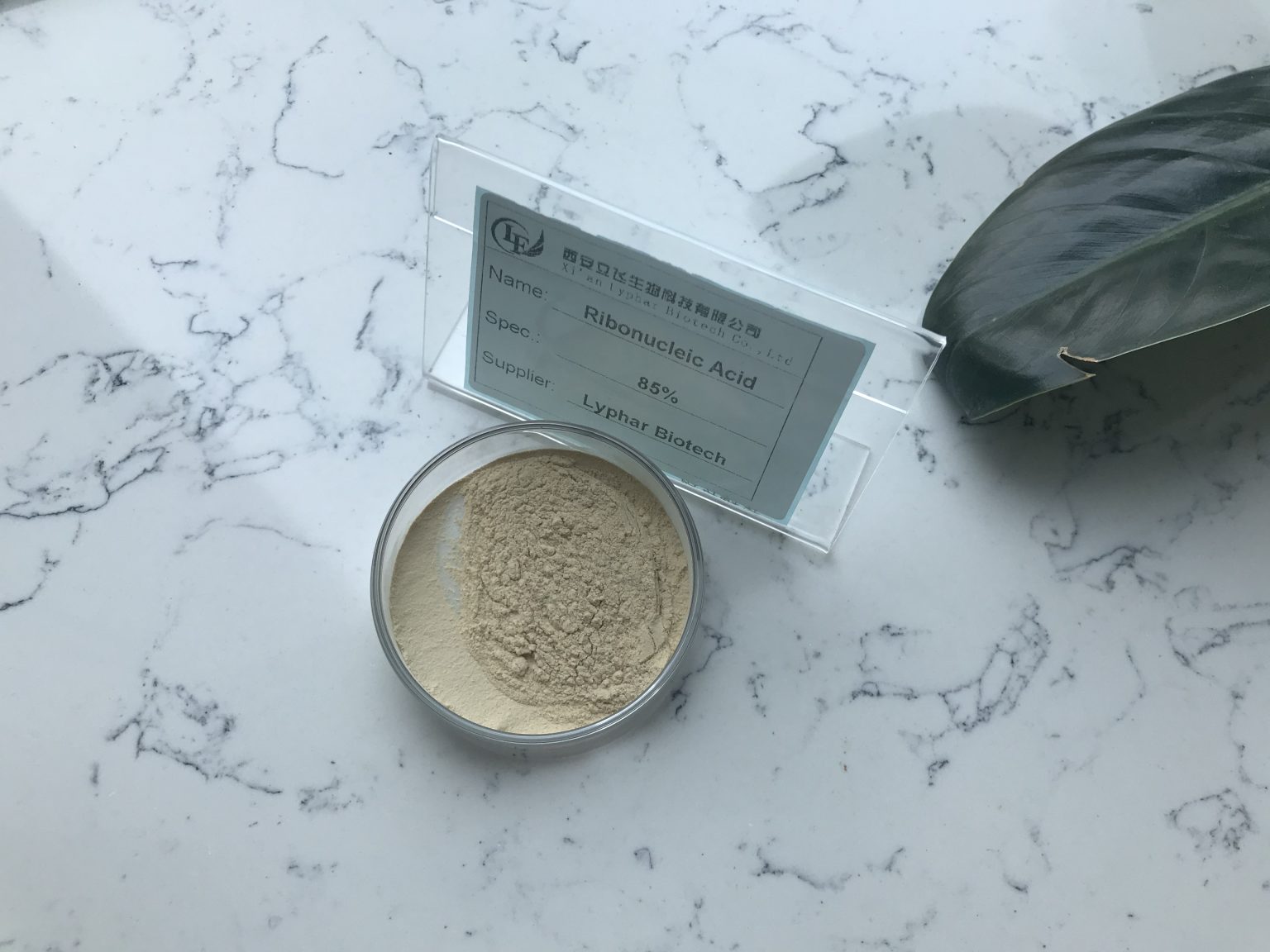 Quality and Production of Ribonucleic Acid Lyphar Offers Free Samples