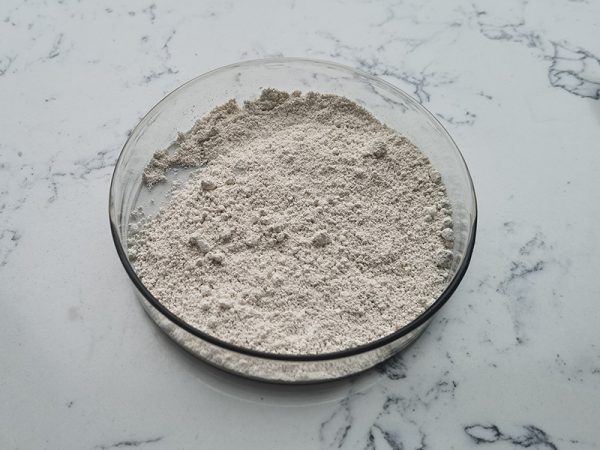 2025103101355264 2025103101355264