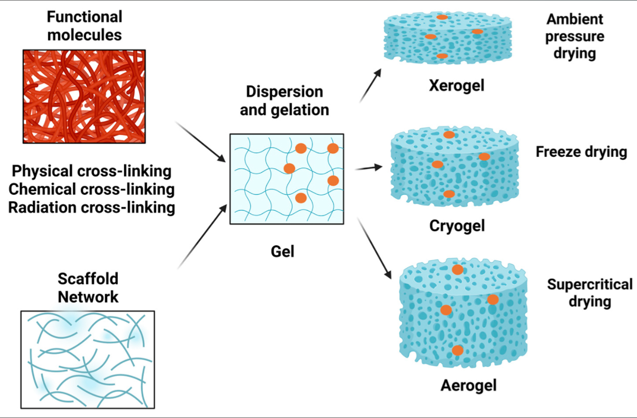 Efficacy and Function of Aerogel-Xi'an Lyphar Biotech Co., Ltd Efficacy and Function of Aerogel-Xi'an Lyphar Biotech Co., Ltd