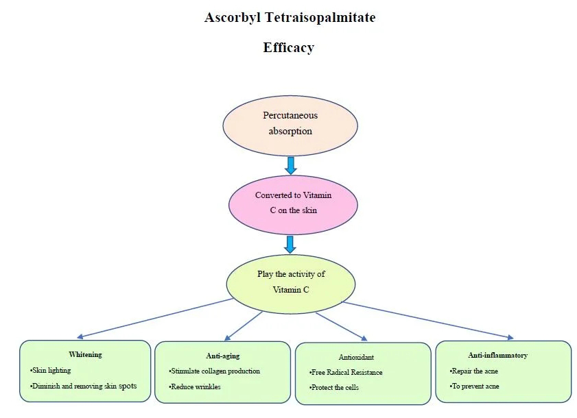 Synthesis of Ascorbyl Tetraisopalmitate-Xi'an Lyphar Biotech Co., Ltd Synthesis of Ascorbyl Tetraisopalmitate-Xi'an Lyphar Biotech Co., Ltd
