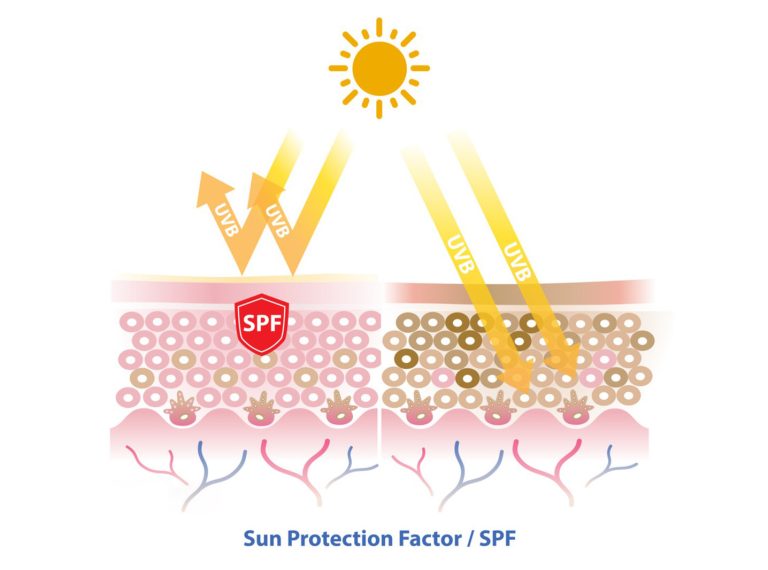 Role of Avobenzone in Cosmetics 6 2025101708160032