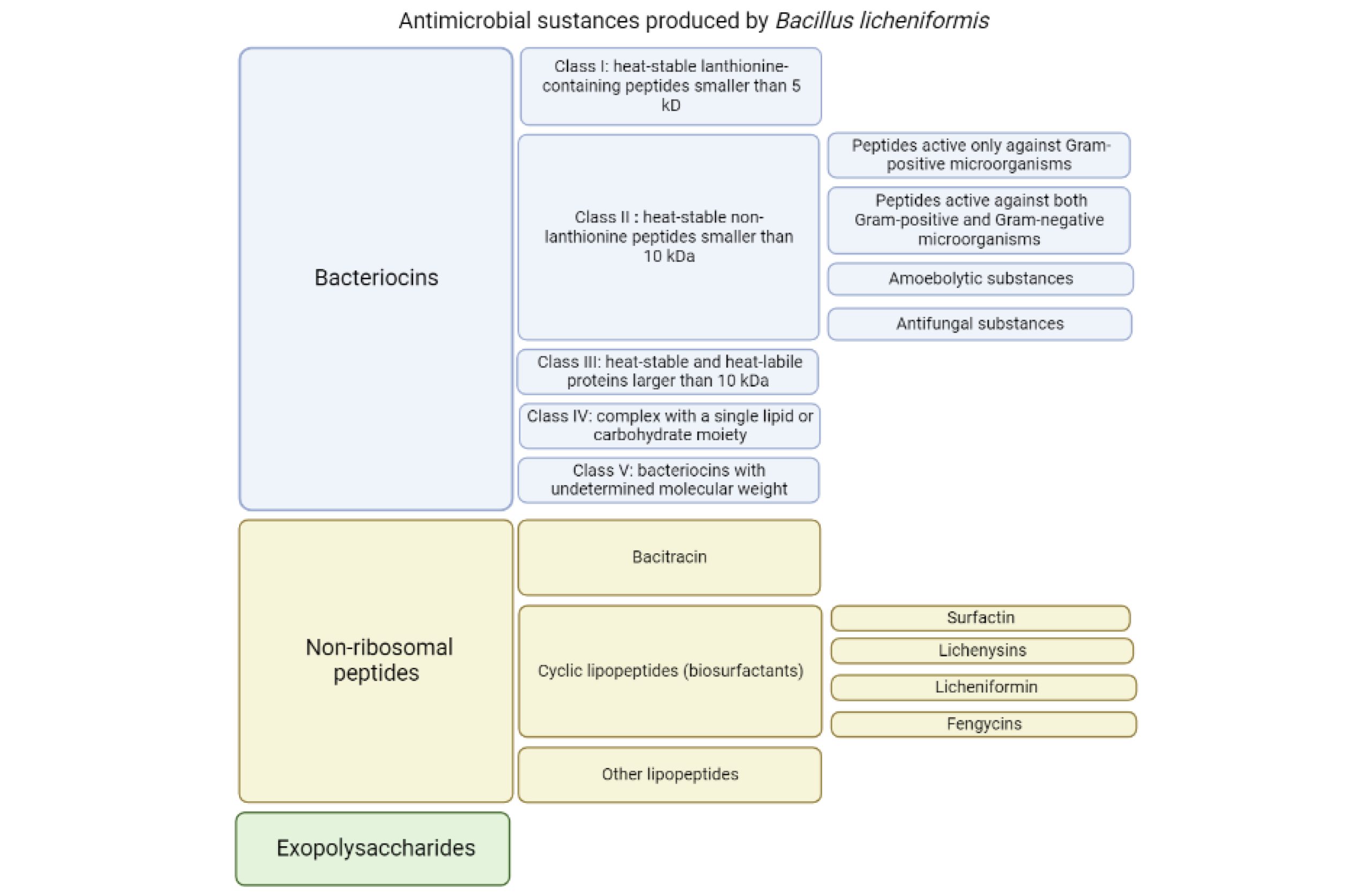 Basic information of Bacillus Licheniformis-Xi'an Lyphar Biotech Co., Ltd Basic information of Bacillus Licheniformis-Xi'an Lyphar Biotech Co., Ltd