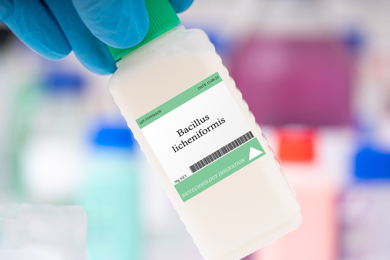Pharmacological Action of Bacillus Licheniformis-Xi'an Lyphar Biotech Co., Ltd Pharmacological Action of Bacillus Licheniformis-Xi'an Lyphar Biotech Co., Ltd