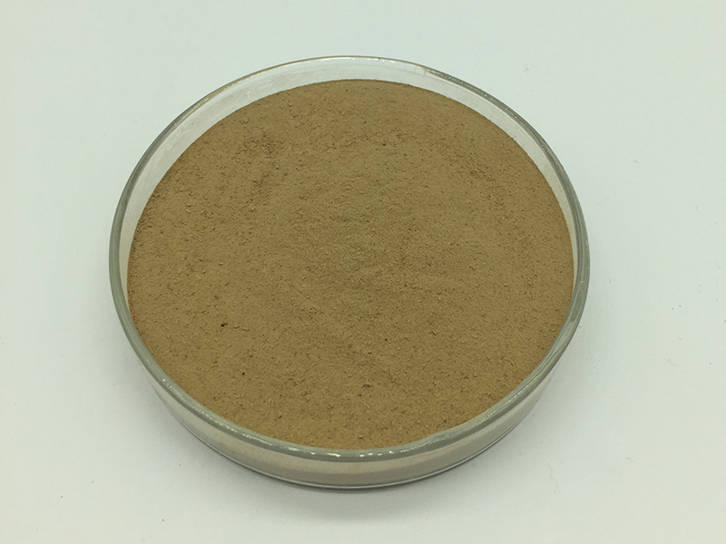 Bacillus Subtilis