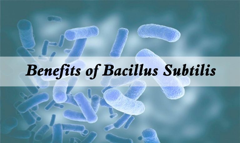 Mechanism Action of Bacillus Subtilis 1 2025102908033740