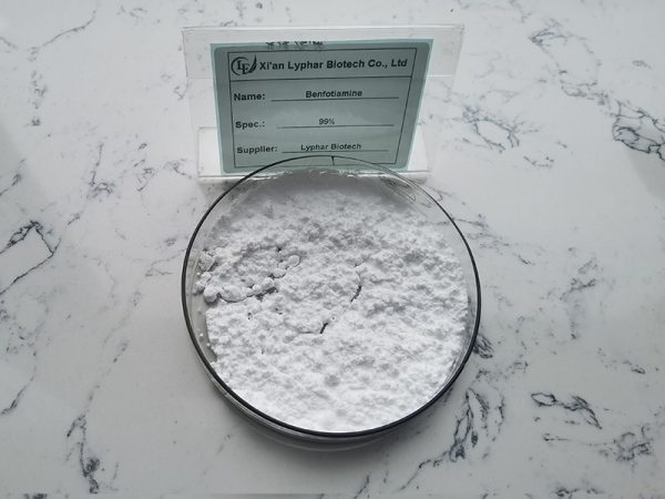 2025103101102315 2025103101102315