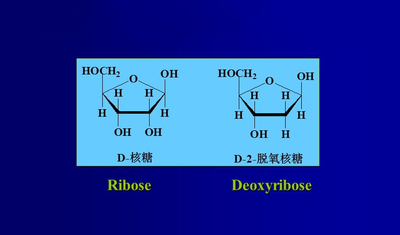 Chemical Structure and Physical Properties of 2-Deoxy-D-Ribose-Xi'an Lyphar Biotech Co., Ltd Chemical Structure and Physical Properties of 2-Deoxy-D-Ribose-Xi'an Lyphar Biotech Co., Ltd