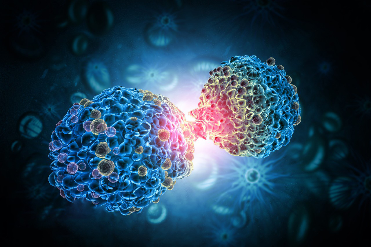 Origin, Properties and Introduction of 2-Deoxy-D-Ribose-Xi'an Lyphar Biotech Co., Ltd Origin, Properties and Introduction of 2-Deoxy-D-Ribose-Xi'an Lyphar Biotech Co., Ltd