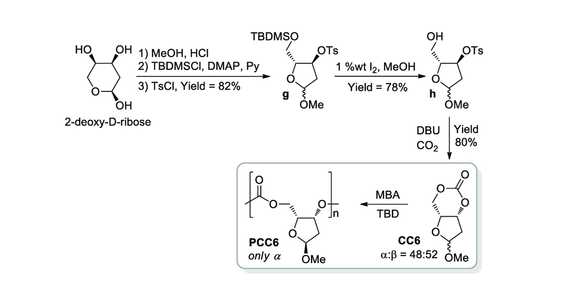 2-Deoxy-D-Ribose