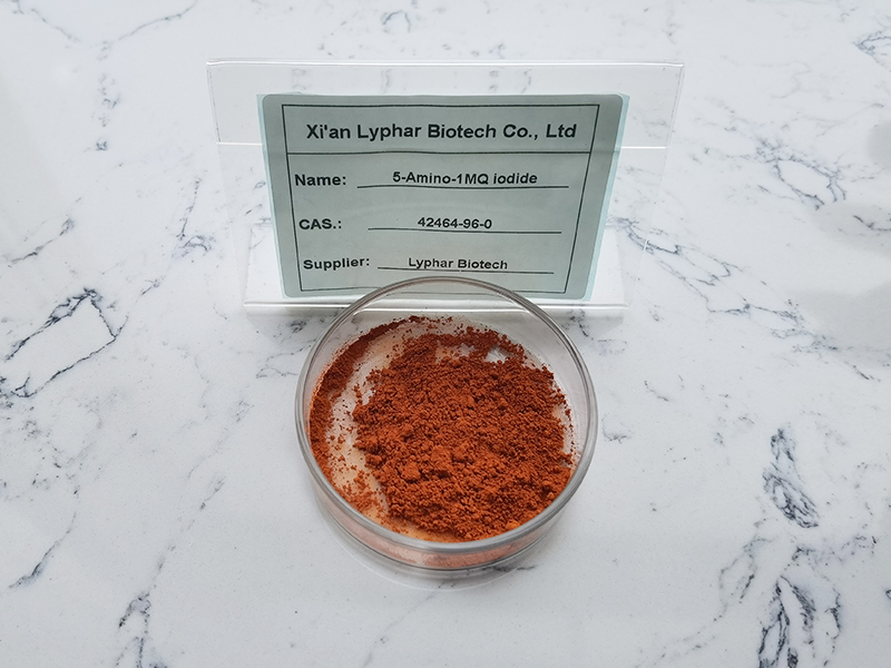 Comprehensive study of 5-Amino-1MQ Iodide-Xi'an Lyphar Biotech Co., Ltd Comprehensive study of 5-Amino-1MQ Iodide-Xi'an Lyphar Biotech Co., Ltd
