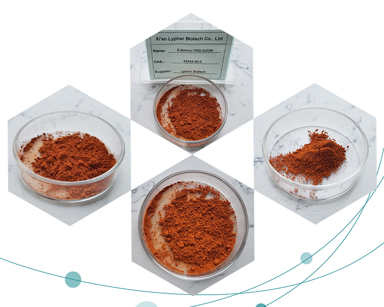 Effectiveness, Side Effects, and Special Considerations of 5-Amino-1MQ Iodide-Xi'an Lyphar Biotech Co., Ltd Effectiveness, Side Effects, and Special Considerations of 5-Amino-1MQ Iodide-Xi'an Lyphar Biotech Co., Ltd