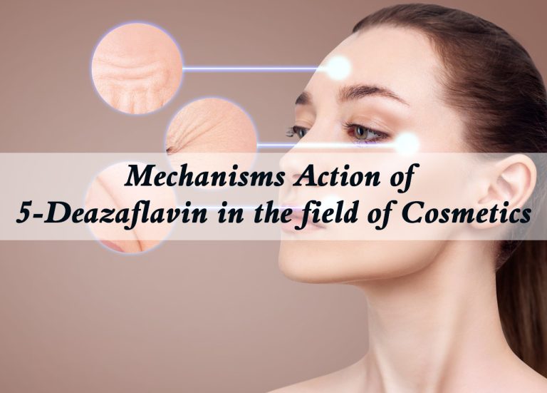 Mechanisms Action of 5-Deazaflavin in the field of Cosmetics 1 2025120508331498