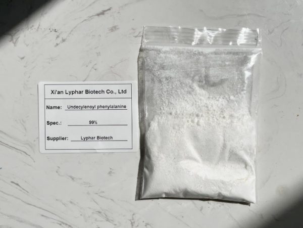 2025120908103121 2025120908103121