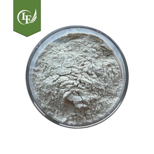 2025120908355084 2025120908355084