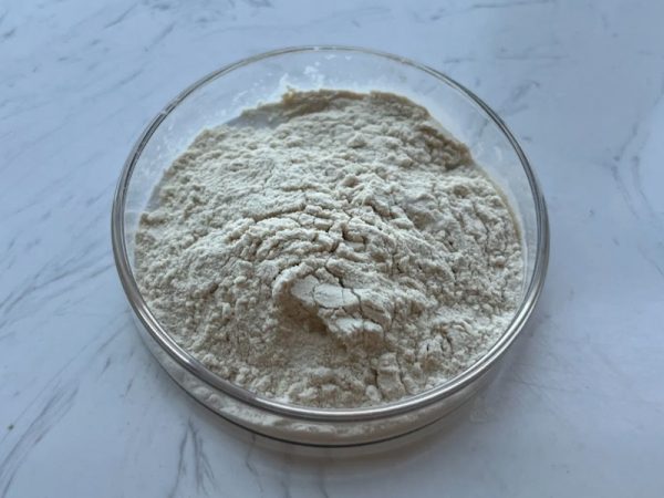 2025120908360826 2025120908360826