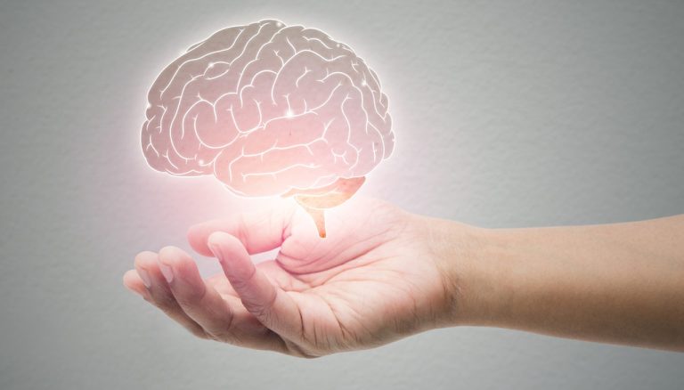 Physiological Function of Calcium Hopantenate Hemihydrate 5 2026010802384883