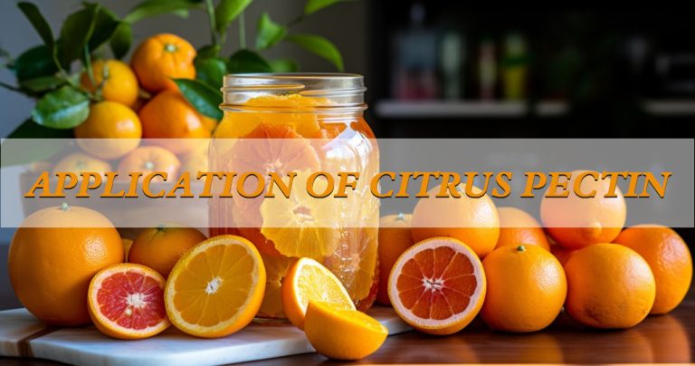 Applications of Citrus Pectin 10 2026011208273338